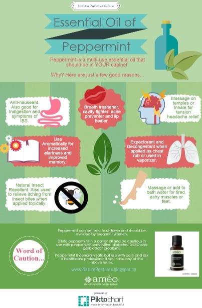 peppermint oil infographic